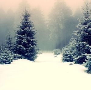 Meet your Posher, Vicki